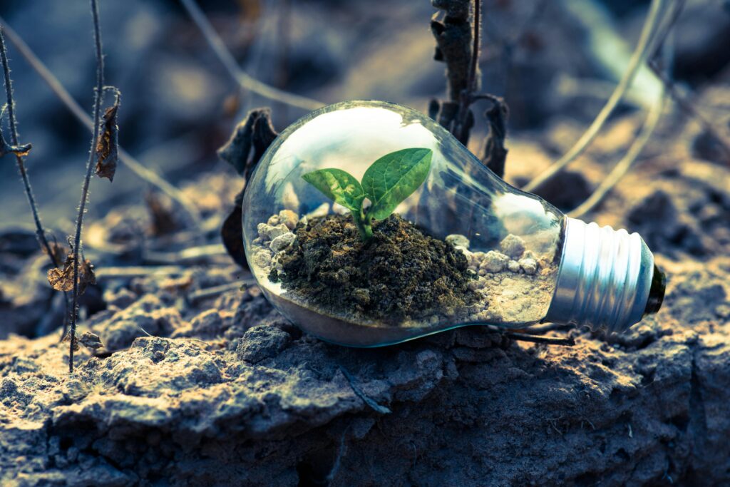 Better for the environment